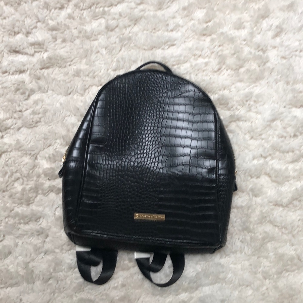 Back pack